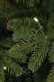 Black Box Kunstkerstboom Brampton Spruce - 230x147 cm - Warmwit