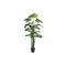 Decoratieve plant DKD Home Decor Polypropeen (PP) EVA (90 x 90 x 200 cm)