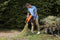 BLACK+DECKER BCMW3336L1-QW Grasmaaier - 36V - 33cm - incl. accu en lader