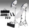 vidaXL - Fotostudioset - met - verlichtingsset - en - achtergrond