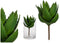 Ibergarden Kunstplant Aloe Vera 14 X 25 Cm Groen/bruin