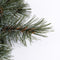 Triumph Tree Forest Frosted - Kerstkrans - Ø60 cm - Newgrowth Blue