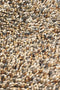 Brink en Campman - Rocks 70501 Vloerkleed - 200x300 - Rechthoek - Laagpolig,Structuur Tapijt - Modern - Meerkleurig
