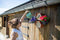Capi Europe - Vogelhuisje ovaal Hive - 19x23x20 - Bruin - Capi Biodiversity Hive - AHBIB002