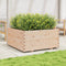 vidaXL - Plantenbak - 100x100x49,5 - cm - massief - grenenhout