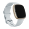 Fitbit Sense 2 Bluetooth 40 mm - Goud