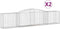 vidaXL - Schanskorven - 2 - st - gewelfd - 400x50x80/100 - cm - gegalvaniseerd - ijzer
