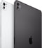 Apple iPad Pro (2024) - Tablet - M4 chip 256GB opslag - Zwart
