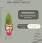 Plants by Frank | Geurende Rozemarijn struik | 15 cm Ø | 40-50 cm ↨ | Rozemarijn plant | Winterharde Tuinplant | Geurhaag | planten | Rosmarinus officinalis