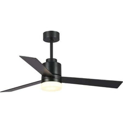 Plafondventilator met licht Blaupunkt BP2012 65 W Zwart