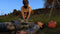 Bohemia Interactive DayZ - PS4 - Avontuur Horror MMO Shooter