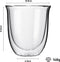 Dubbelwandige theeglazen koffieglazen - Cappuccino glazen - Warme en koude dranken koffietassen dubbelwandig - 250 ML - Set van 2 - VDN