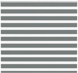 vidaXL - Zebra - rolgordijn - 165x150 - cm - stofbreedte - 160,9 - cm - donkergrijs