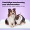 Jake and Jacky 240 Puppy Training Pads 60 x 90 cm - Zindelijkheidstraining Hond - Plakstrip - (240 stuks)