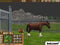 Atari Wildlife Park 2 - Add-On Paardenboerderij - PC - Simulatie en Strategie