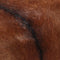 vidaXL - Krukje - 40x30x45 - cm - echt - geitenleer