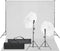 vidaXL - Fotostudioset - met - verlichtingsset - en - achtergrond