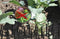 Gardigo Verdufter-Barriere Dierenverschrikker Functies: Afschrikking 6 stuk(s)