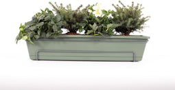 Balkonbak 70cm Groen - Helleborus / Picea omorika 'Karel' - Balkon - Tuinplant - Plant