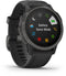 Garmin fēnix 6S Sapphire - Smartwatch - GPS multi-sport met muziek - Grijs (Zwart)