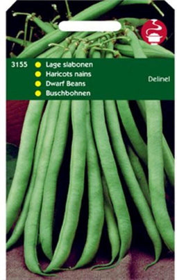 Stam (Lage) Slabonen Delinel Z. Dr.