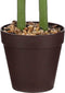 Mica Decorations Caladium - Kunstplant in Bloempot - H100 x Ø50 cm - Groen