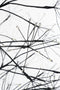 Luca Lighting Lichtboom - Buitenverlichting - 3000 micro LED's - Zwart - H210 x Ø100 cm
