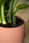 Elho Vibes Fold Rond 30 - Bloempot voor Binnen - 100% Gerecycled Plastic - Ø 29.5 x H 27.2 cm - Delicaat Roze