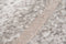 9135 Waves Shores Amazon Mud Vloerkleed - 200x280 - Rechthoek - Laagpolig Tapijt - Landelijk - Beige
