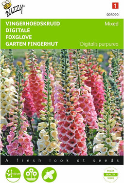 2 stuks - Buzzy - Digitalis purpurea Gemengd