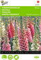 2 stuks - Buzzy - Digitalis purpurea Gemengd