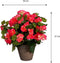 Mica Decorations Begonia - Kunstplant - Donkerroze - 37 cm