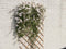 Nature - Houten klimrek - 1 x 3m - Bruin - FSC