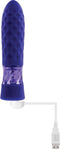 Evolved Vibrator Love Toy Raver Paars