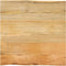 vidaXL - Tafelblad - met - natuurlijke - rand - 60x60x2,5 - cm - massief - mangohout
