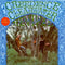 Creedence Clearwater Revival - Creedence Clearwater Revival (LP)