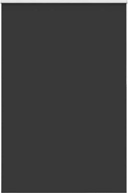 vidaXL - Rolgordijn - verduisterend - 150x210 - cm - stofbreedte - 146,6 - cm - zwart