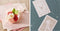 Silhouette Cameo 5 - Snijplotter - 12 inch - Stil & Nauwkeurig - Wit