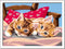 Ravensburger CreArt Two Cuddly Cats - Schilderen op nummer voor kinderen
