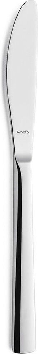 Messen Set Amefa Atlantic Metaal Roestvrij staal 12 Stuks