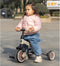 Qplay Stager - Driewieler 3-in-1 - Opvouwbaar - Bruin