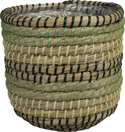 Ter Steege Plantenmand voor Binnen Zeegras D 17 cm H 17 cm Voordeelaanbod Per 2 stuks