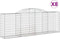 vidaXL - Schanskorven - 8 - st - gewelfd - 300x50x100/120 - cm - ijzer