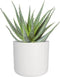 Elho B.for Soft Rond 25 - Bloempot voor Binnen - 100% Gerecycled Plastic Ø 24.7 x H 23.3 cm - Wit