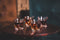 VDN Edam Whiskey Glazen Set handgeblazen - 4 Whiskeyglazen – Tumbler - Loodvrij Kristal glas