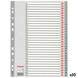 Spoorverbreders Esselte 1-31 Genummerd Grijs A4 31 Lakens (10 Stuks)