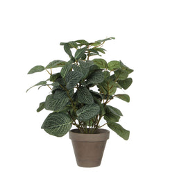 Mica Decorations - Kunstplant mica pilea in pot 35x25cm | 6 stuks