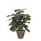 Mica Decorations - Kunstplant mica pilea in pot 35x25cm | 6 stuks