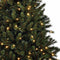Black Box Trees Kingston Kunstkerstboom met LED verlichting - H230 cm - groen