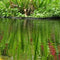 Customize it - Tuinschilderij koikarpers 130x70cm